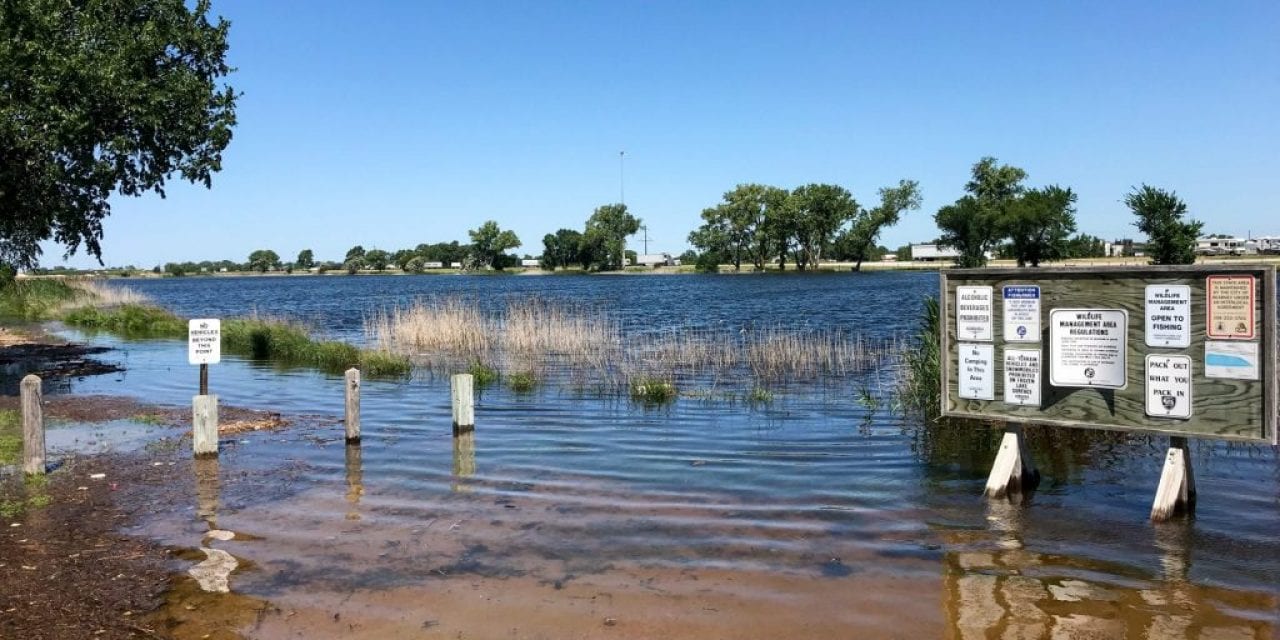 The Floods