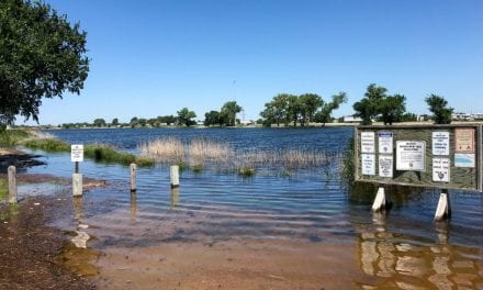 The Floods