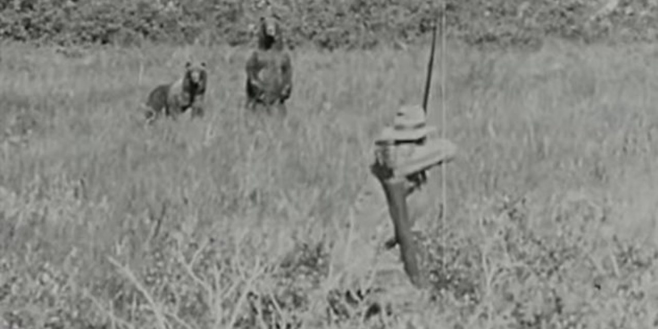 Traditional Bowhunt from 1926 Shows Arthur Young Taking a Grizzly