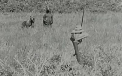 Traditional Bowhunt from 1926 Shows Arthur Young Taking a Grizzly