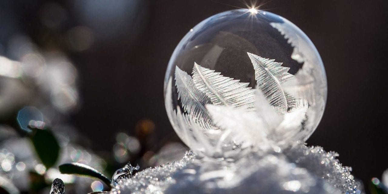 Winter Macro Assignment Winner Jessica Nelson