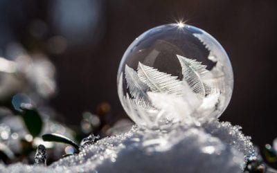 Winter Macro Assignment Winner Jessica Nelson