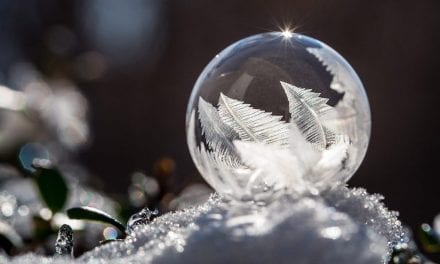 Winter Macro Assignment Winner Jessica Nelson