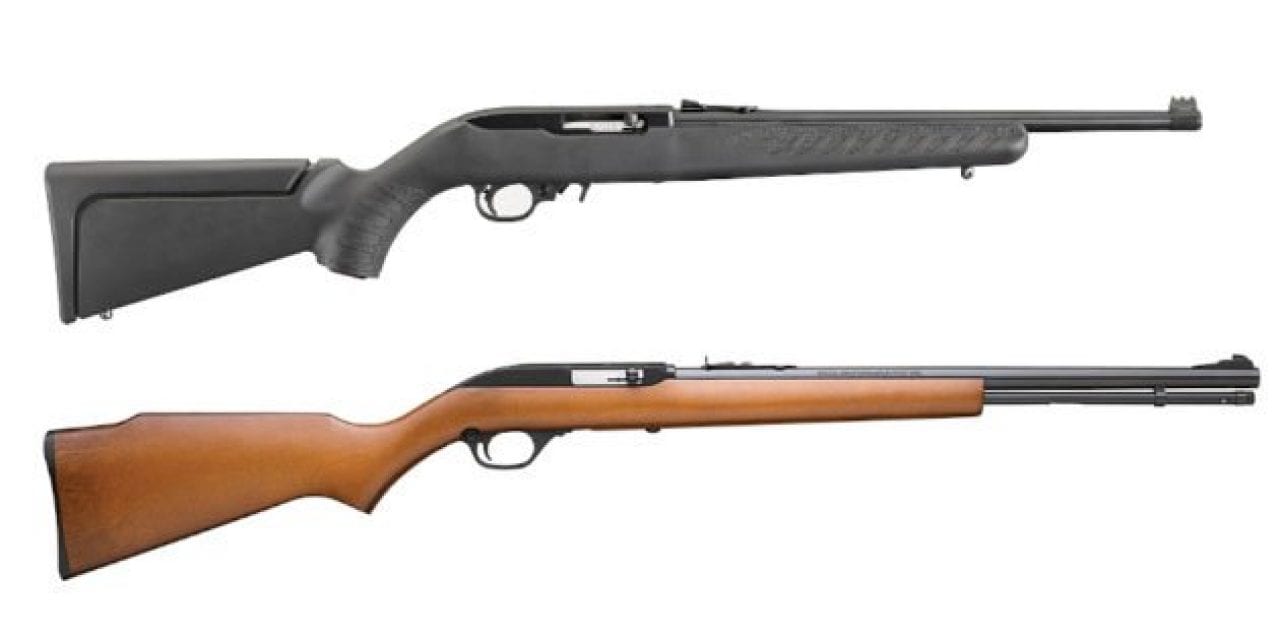 10 of the Best .22 Rifles on the Market for Plinking and Hunting Fun