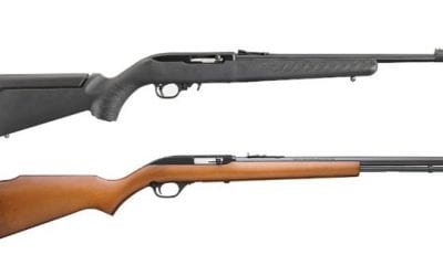 10 of the Best .22 Rifles on the Market for Plinking and Hunting Fun