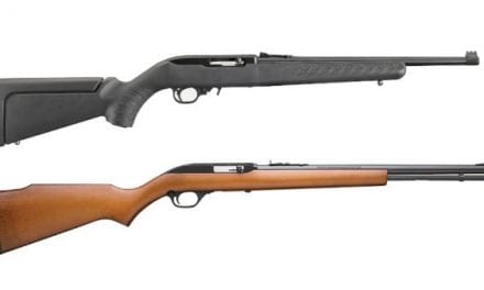 10 of the Best .22 Rifles on the Market for Plinking and Hunting Fun