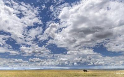 2019 Great Outdoors Photo Contest Third Place: Big Sky Country
