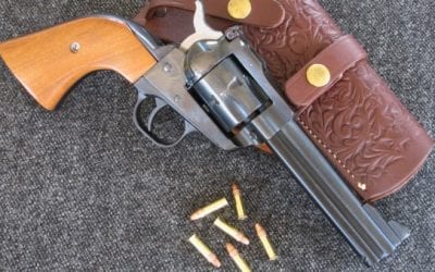 4 Perfect .22 Handguns for a Walk in the Woods
