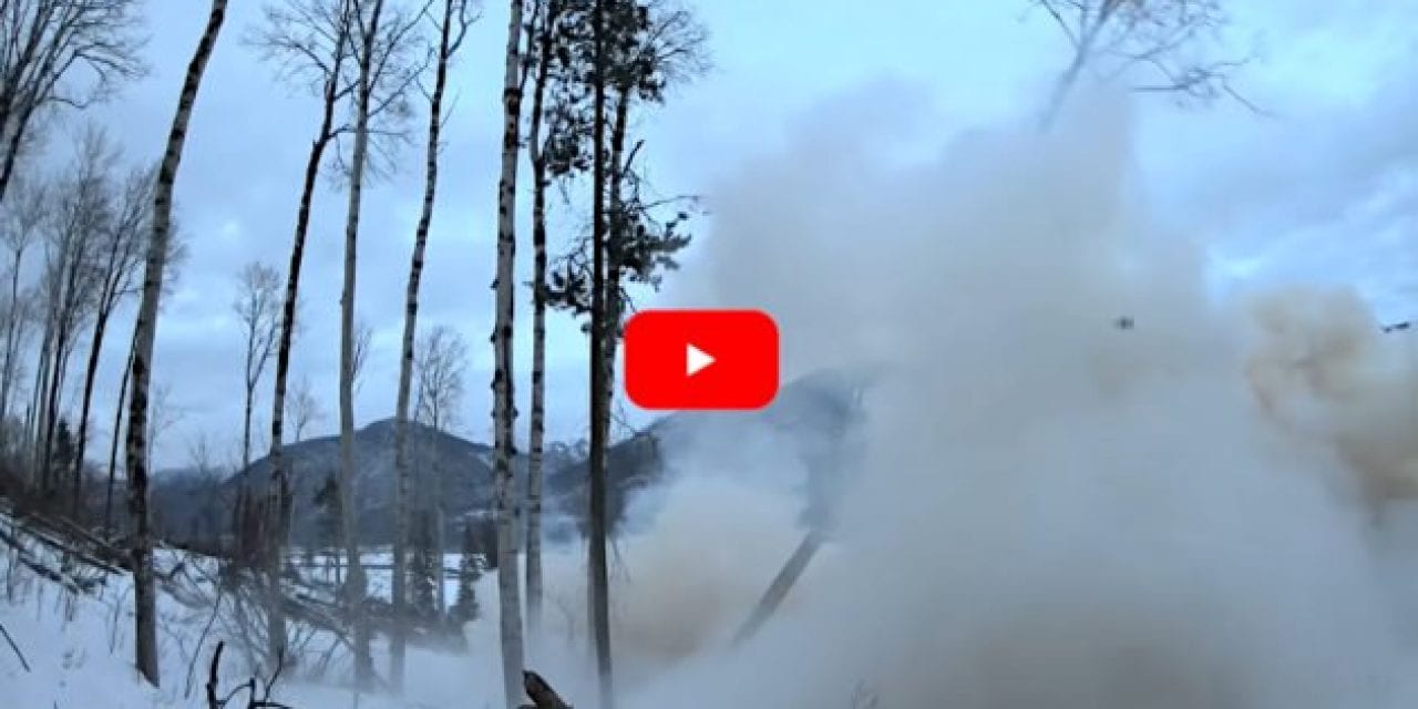 Canadian Rednecks Chop Down Tree with Large Tannerite Explosion