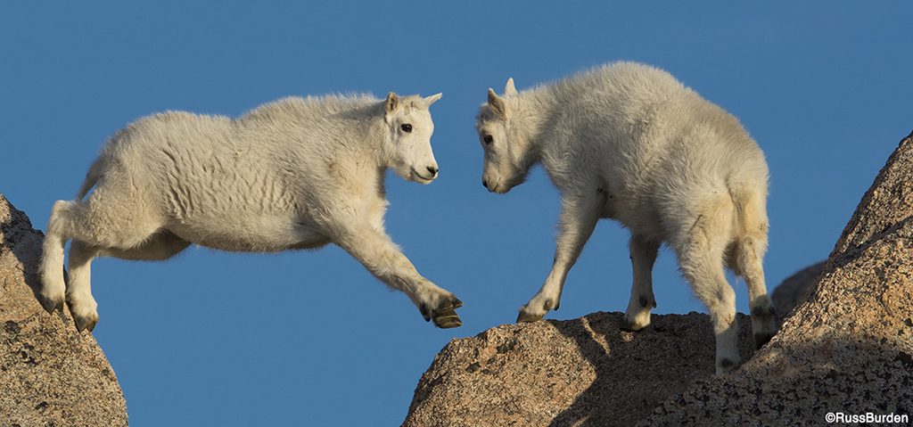 Capture The Decisive Moment In Your Images, Part 2