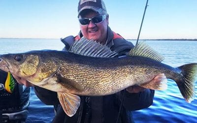 CATCH BIG WALLEYES NOW WITH ‘CUSTOM’ COLORED RIPPIN’ RAPS