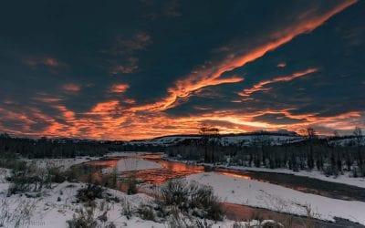 Colors Coming Through Assignment Winner Jody Partin