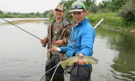 Fly Fishing Guide