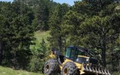 Forest thinning ramping up on Game and Parks properties