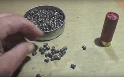 Guy Shoots a Shotgun Shell Full of .22-Caliber Airgun Pellets