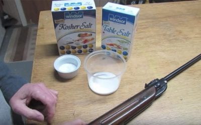 How to Make a $3 Bug-A-Salt Gun Out of Your Pellet Rifle