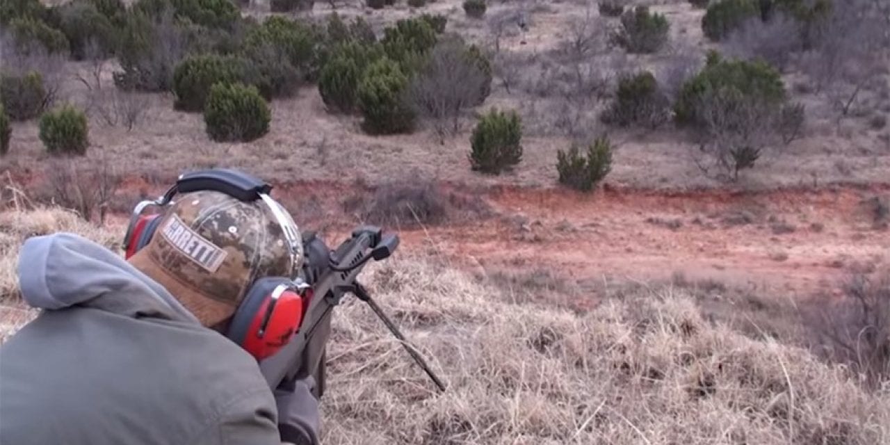 Hunter Tries Out a .50 Cal on a Feral Hog