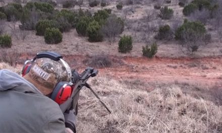 Hunter Tries Out a .50 Cal on a Feral Hog