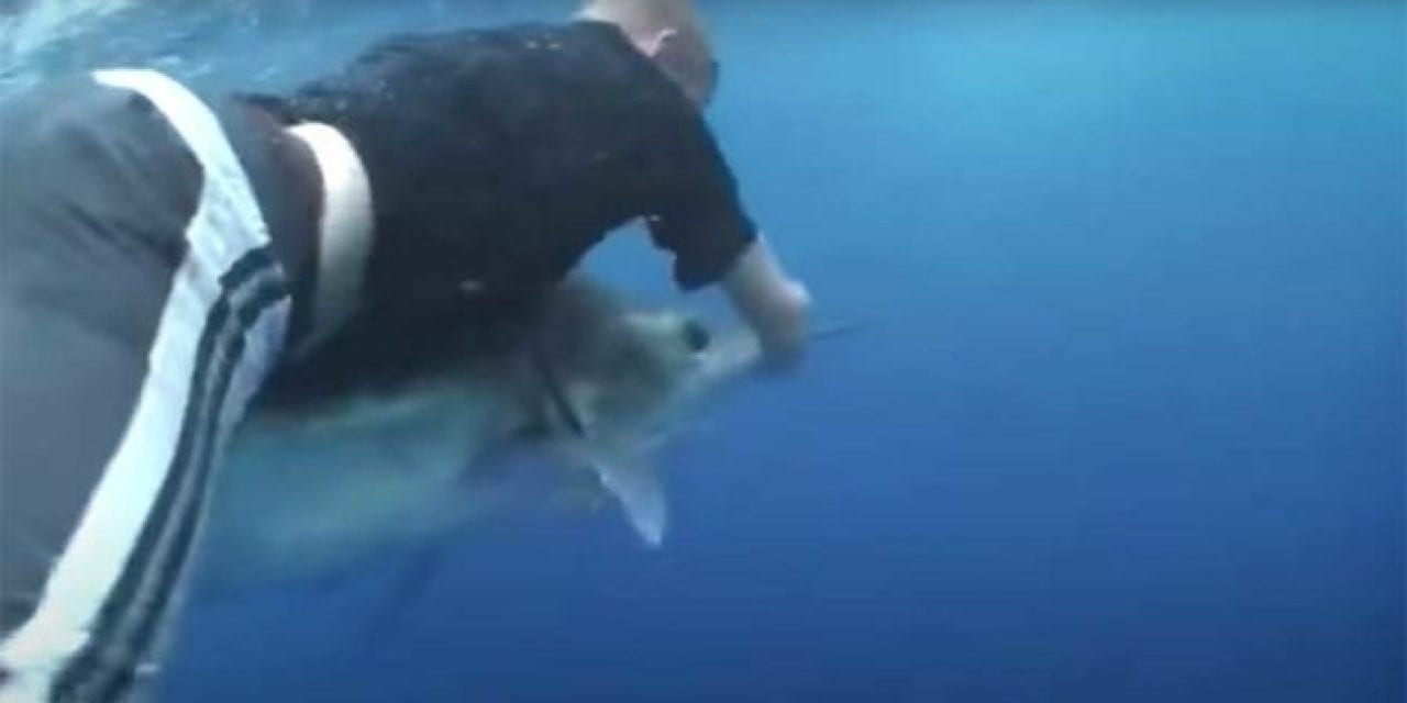 Man Dives From Chopper onto a Marlin, But the Camera Sequence Doesn’t Add Up