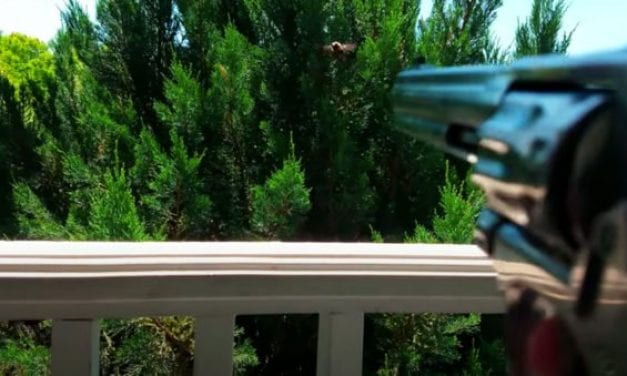 Man Drops Carpenter Bees Out of the Sky With .22 Birdshot