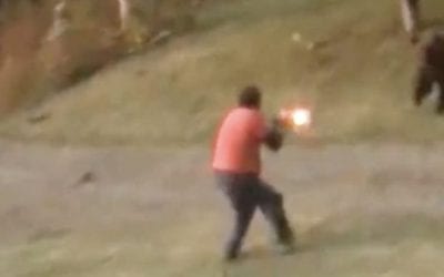Man Shoots Charging Grizzly in His Front Yard