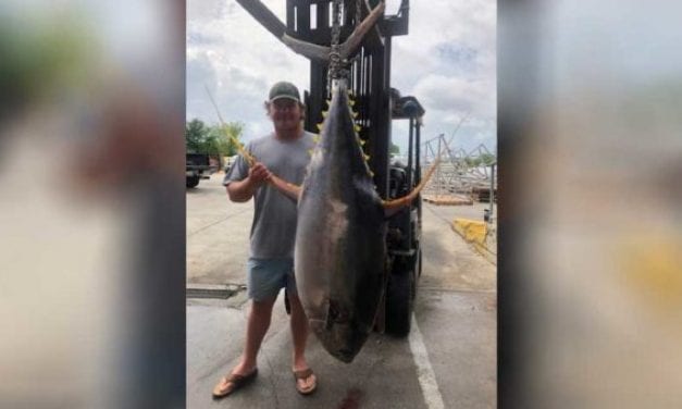 Mississippi Yellowfin Tuna Record Broken By Hattiesburg Man
