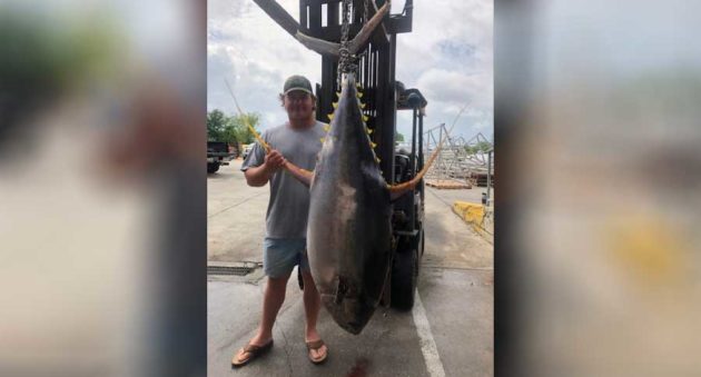 Mississippi Record Yellowfin Tuna