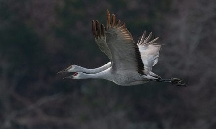 Photo Of The Day By John Pierce