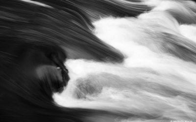 Photo Of The Day By Melinda Worm