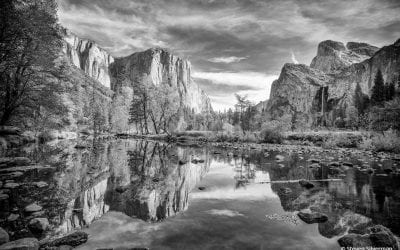 Photo Of The Day By Steven Silverman