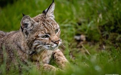 Photo Of The Day By Susan Winfree