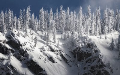 Photos Of The Day For March 2020