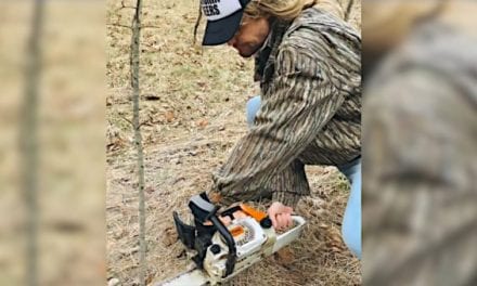 Rut Daniels Shows You How to Properly Brush in a Blind