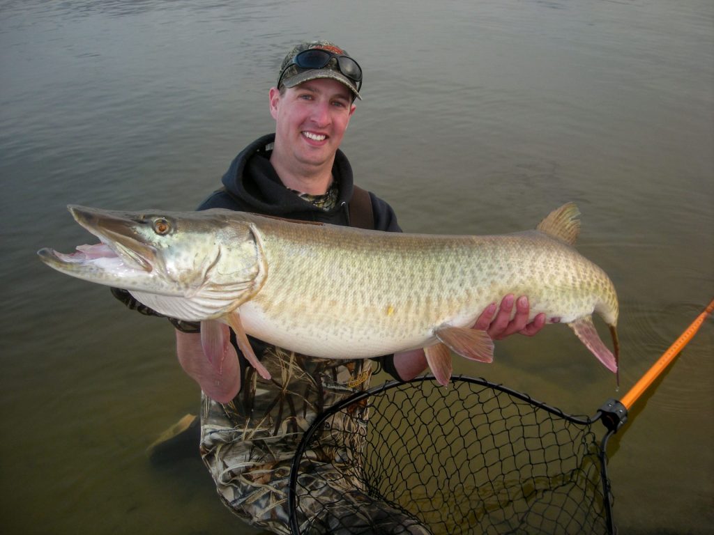 Daniel Bauer of Valentine holds a master angler muskie from Merritt. Photo by Daryl Bauer