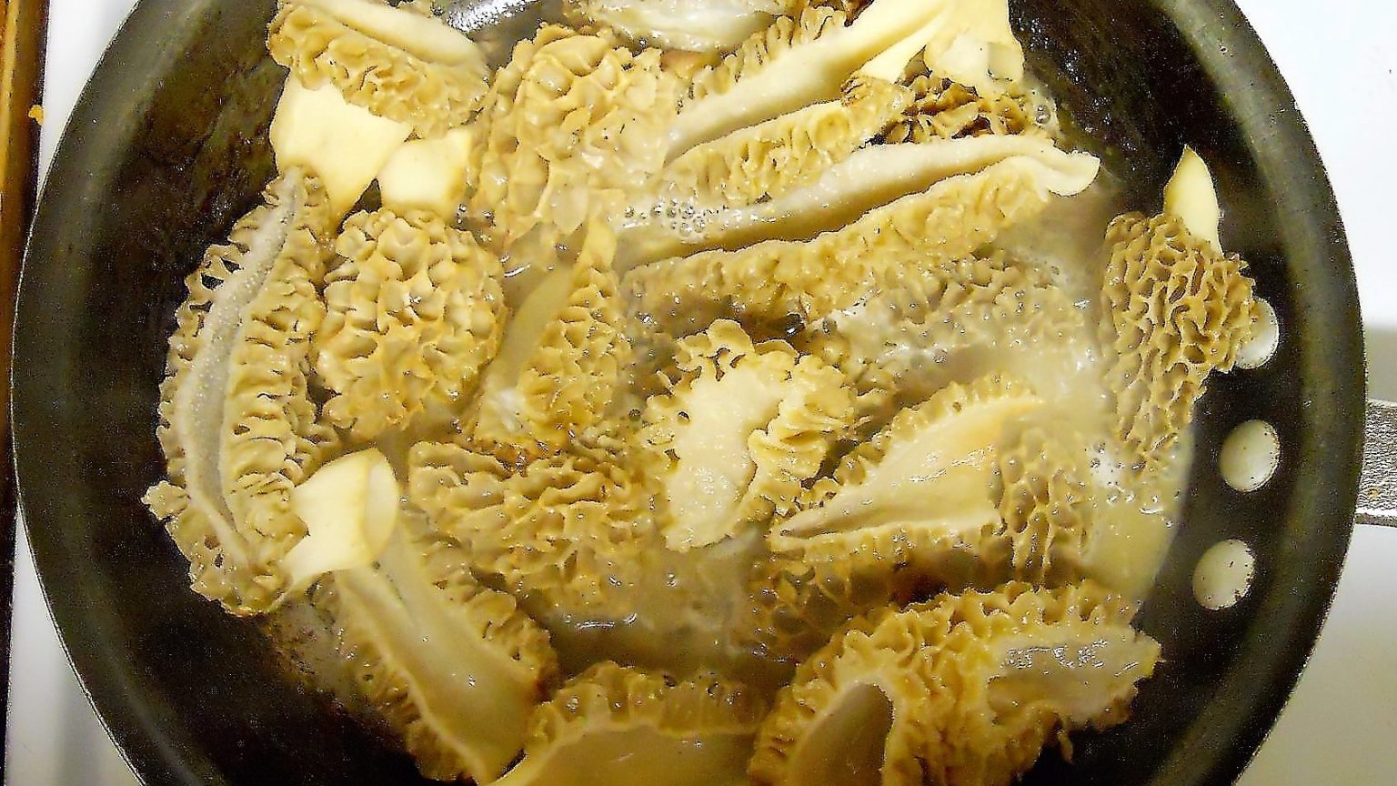 Wild Game Cooking 101 Outdoor Enthusiast Lifestyle Magazine