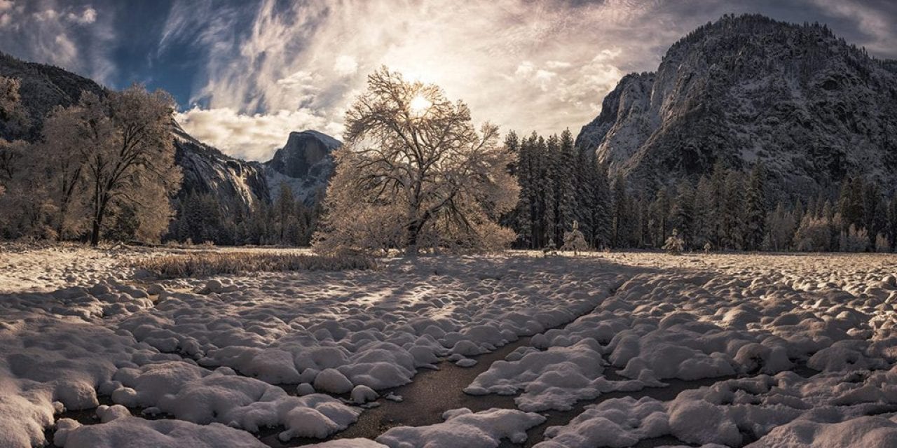 Winter Shadows Assignment Winner Kris Walkowski