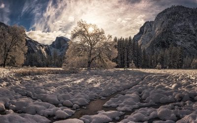 Winter Shadows Assignment Winner Kris Walkowski
