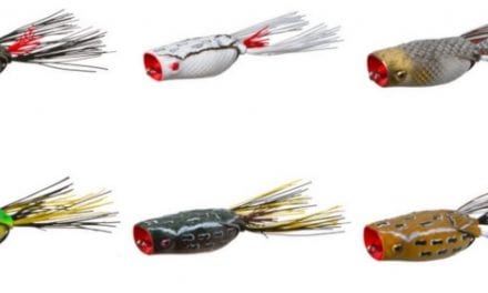 ZOOM Adds Poppin’ Frog to Topwater Collection