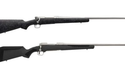 10 Solid .300 Winchester Magnum Rifles Perfect for Big Game Hunting