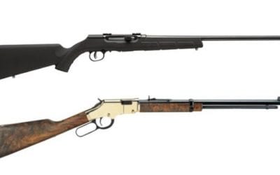 8 of the Top .17 HMR Rifles on the Market for Plinking and Varmint Hunting