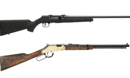 8 of the Top .17 HMR Rifles on the Market for Plinking and Varmint Hunting