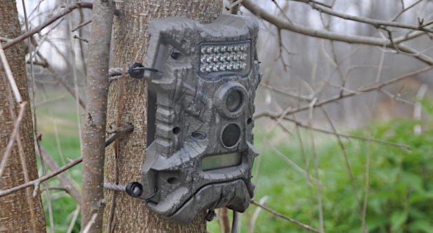 Trail Cameras