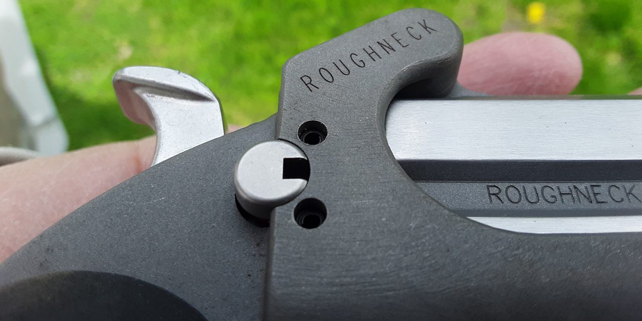 Bond Arms Roughneck 9mm, a perfect concealed carry?