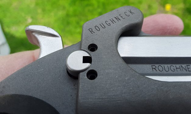 Bond Arms Roughneck 9mm, a perfect concealed carry?