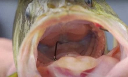 Angler Shares How to Remove Hook from Deep Inside a Fish With Minimal Harm