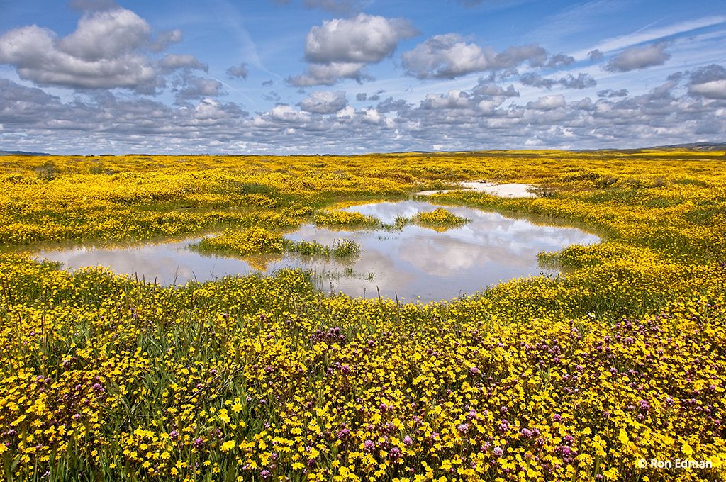 Carrizo Plain National Monument, California