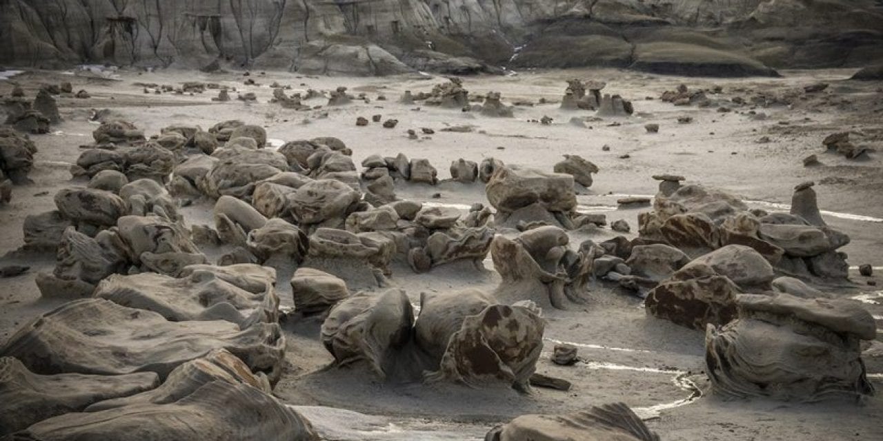 Bisti Wilderness Area