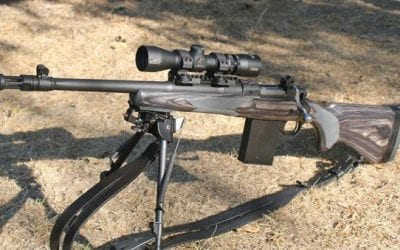 Bore Sighting a Rifle: The Basics Explained