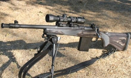 Bore Sighting a Rifle: The Basics Explained