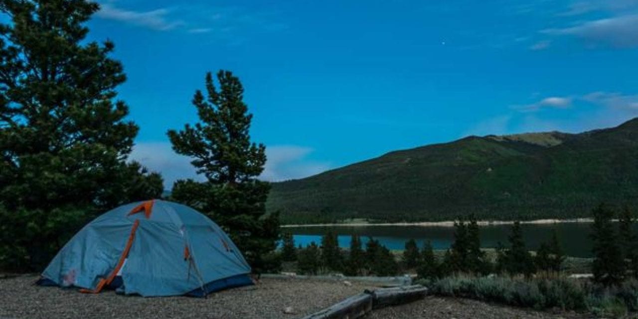 Colorado Officials Looking for Bear That Pounced On Campers in Tent